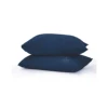 Bleu de Prusse