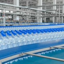 Automatic High Efficiency Pure Water Bottle Machine Drinking Water Small Bottled Water Filling Machine