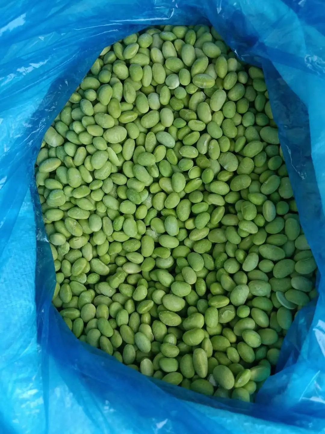 China Supplier High Quality Bulk IQF Frozen Green Edamame Soybean