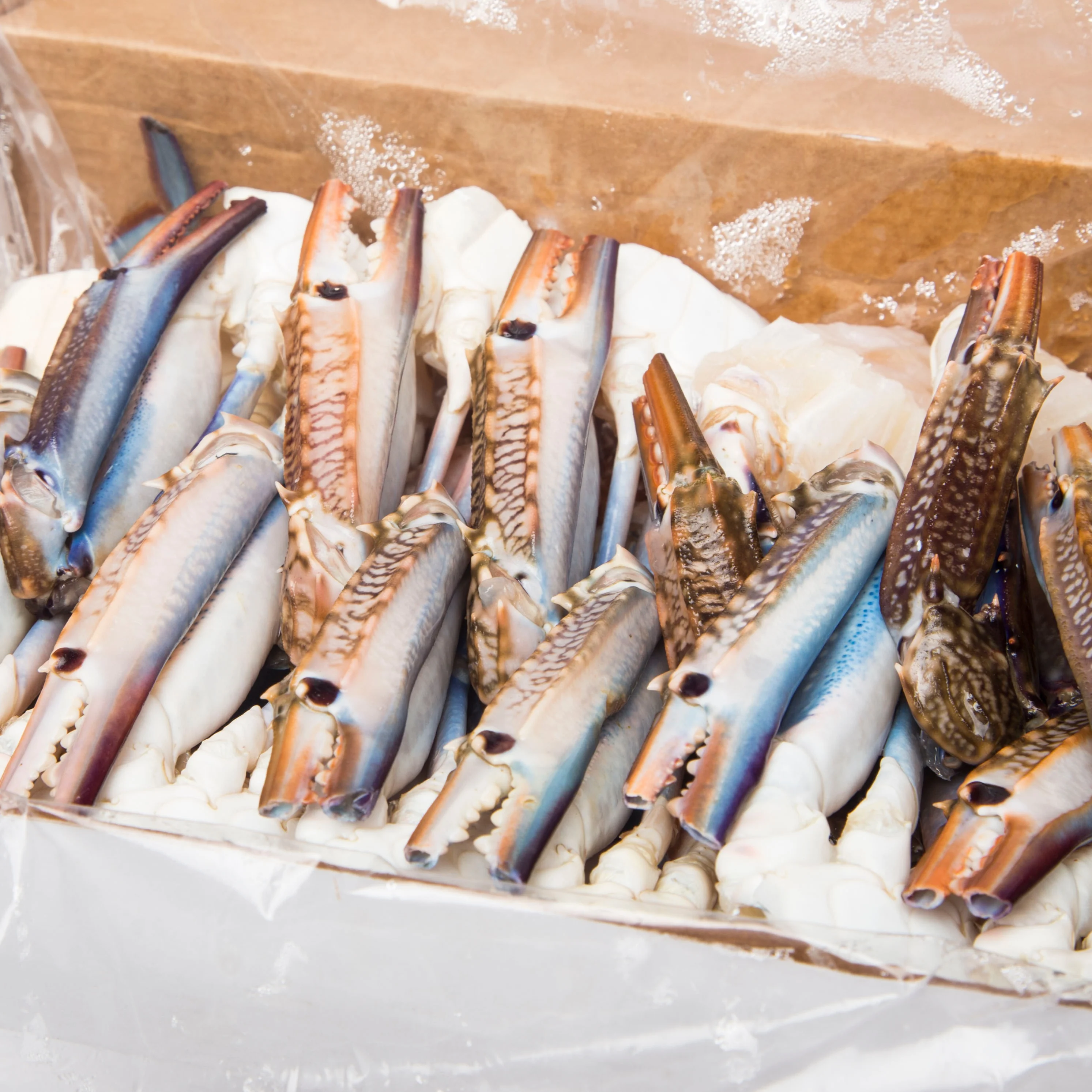 frozen blue swimming crab sales price for export.