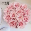 12 rosa