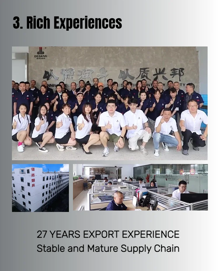 Company overview