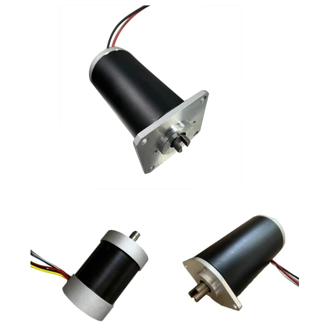 Custom Brushed or Brushless Dc Pump Motor 24v 12v 36v 48v for Water Oil Hydraulic Air Pump 50w 100w 200w 500w 800w