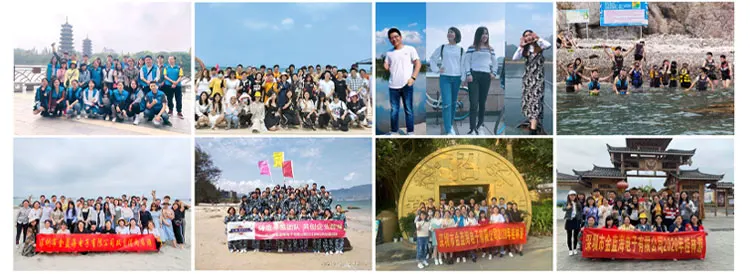 Extended company profile