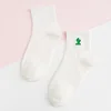 Cactus blanco