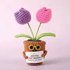 mix Sunglasses double-headed tulip