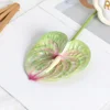 Single film anthurium green no. 3
