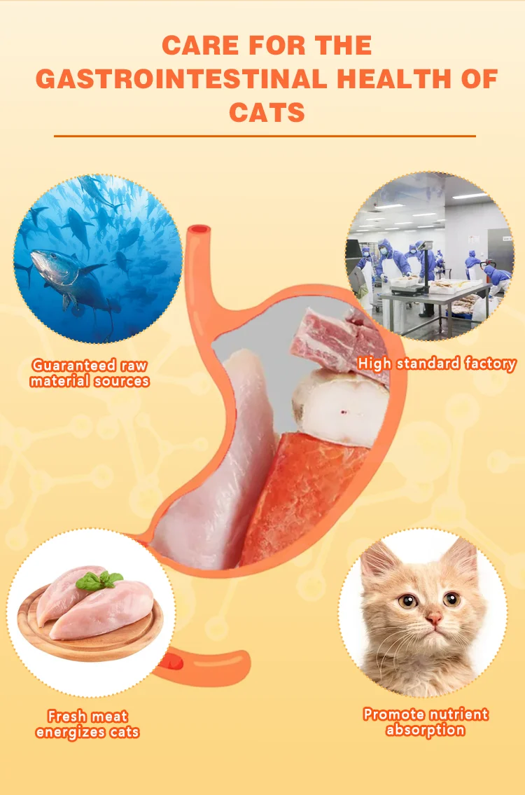 2024 Wholesale China Factory 15g Delicious Tuna Chicken Temptations Cat