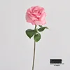 Increase flower head-bean paste pink