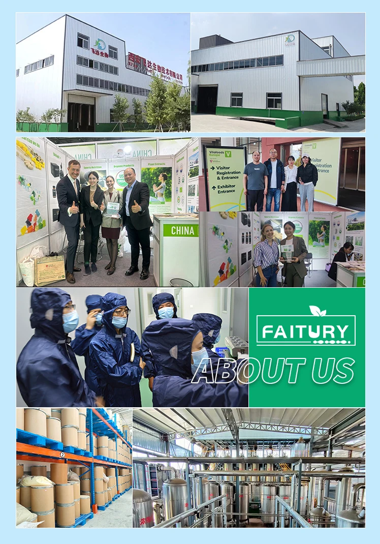Faitury OEM Ganoderma Lucidum Extract Reishi Mushroom Extract Ganoderma Capsules Reishi Mushroom Capsules