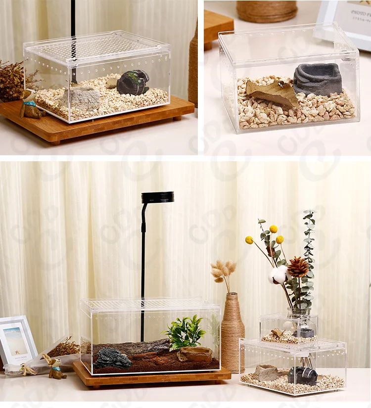 Tarantula Box Perspex Snake Lizard Tarantula Breeding Box Sliding Magnetic Clear ...