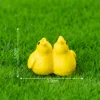 colorful 5 Baby birds