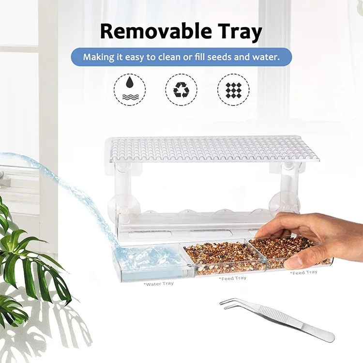 Indestructible Clear Acrylic Bird Feeder With 4 Super Adhesive Hooks