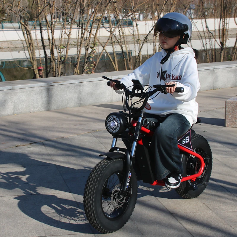 大大大SALE‼️ E-BIKE Electric Bike - AKEZ Official Store