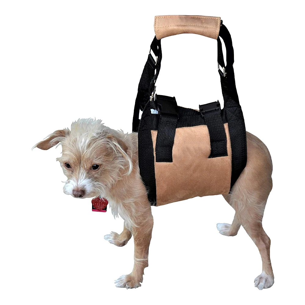 Source QQgift OEM customized Dog Backpack Harness with Built-in