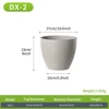 DX-2 Gris Claro