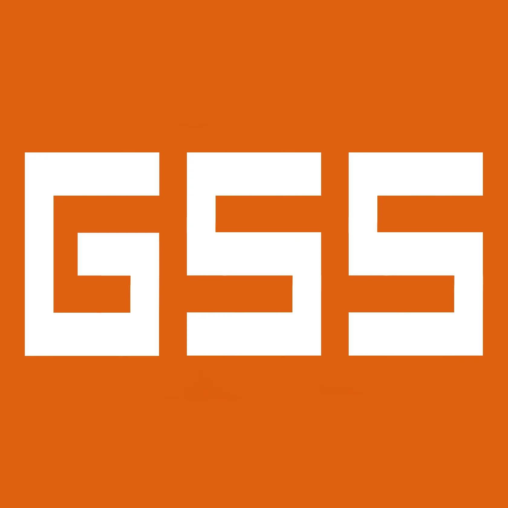 公司概述 - Shenzhen GSS Technology Co., Ltd.