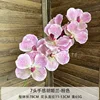 Orchid Pink