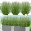 Vert