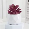 10 modelli