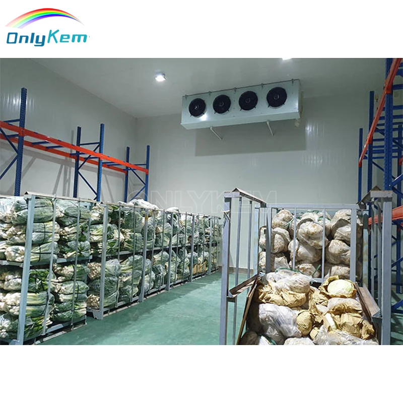 Logistics Warehouse 1000m2 Cold Room for Vegetables, Walk in Freezer Cold Room With Sectional Door