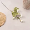 una rama blanca