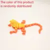 Small orange rainbow