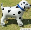 cane maculato