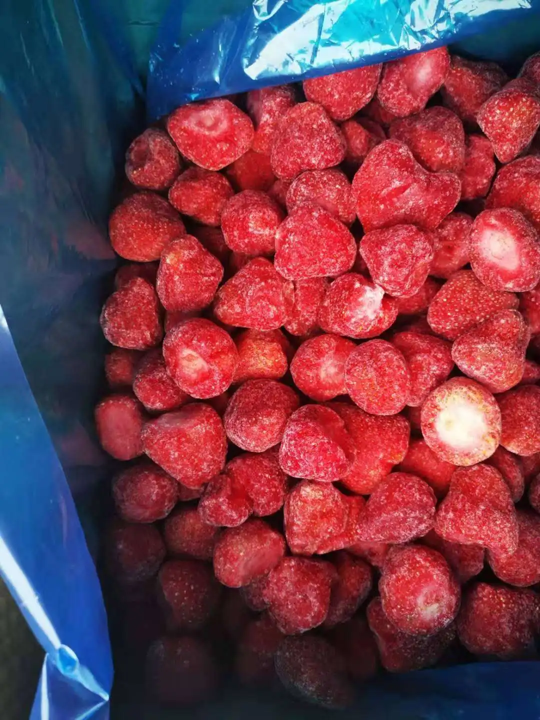 Çin Təminatçısı Donmuş Qızılgül Donmuş Meyvələr IQF