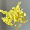 Giallo 100 g