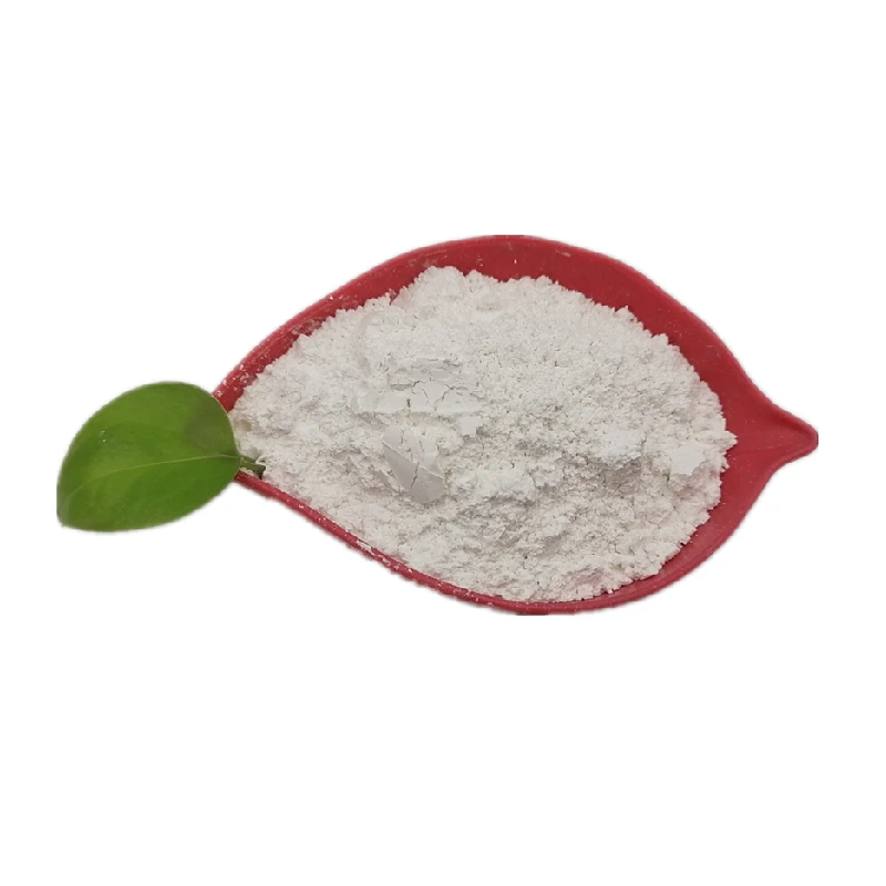 High Quality oyster Shell Calcium Carbonate for Environmental Coating Painting