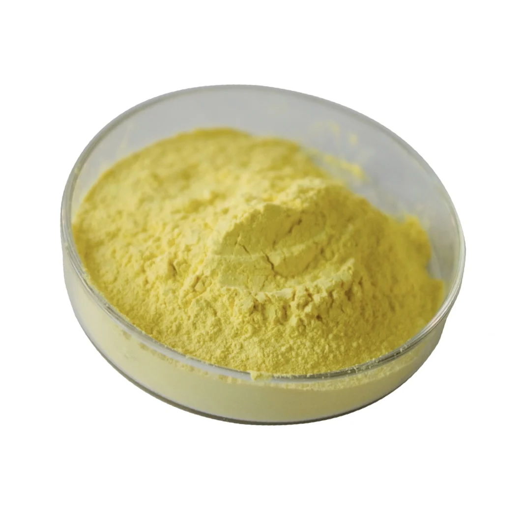 Factory Supply Natural Apigenin 198 Parsley Extract Powder Buy