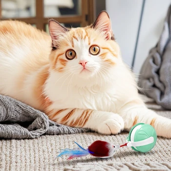 Real Fur Interactive Electric Laser Cat Toy Stick New Automatic Plastic Toy Box Cute for Cat Dog Play Cross-Border Artifact