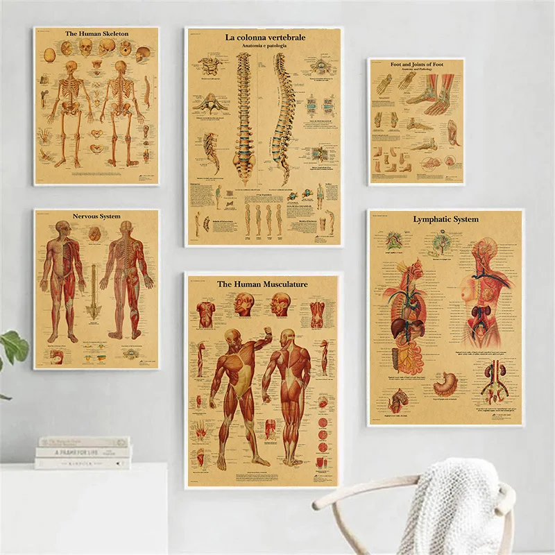 Spinal Column Chart Skeleton Posters Human Anatomy Knee Joint Foot Canvas Painting Medical Wall Art Prints for Room Home Decor