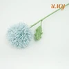 only one Pom-pom