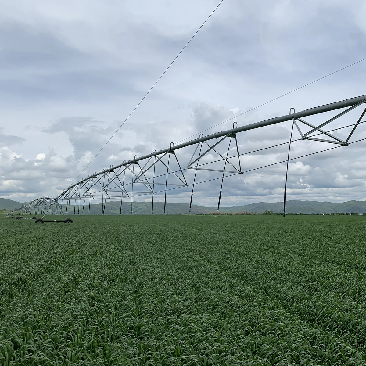 High Efficiency Farm Rotating Center Pivot Irrigation Overhead Pivoting Irrigator for Russian