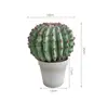 piccolo cactus di velluto rosso
