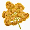 foglia di ginkgo autunnale
