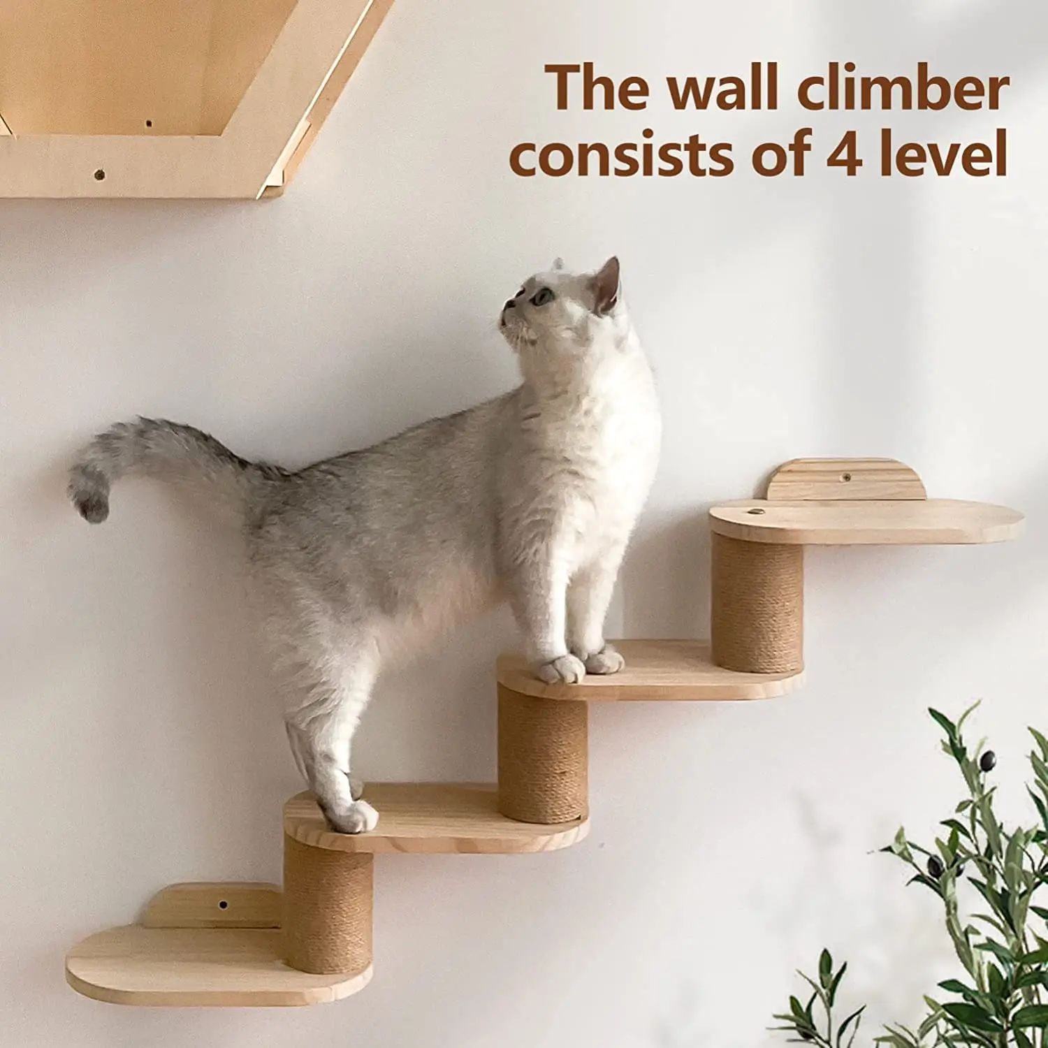 Cat Shelves Condos Cat Furniture Wall Mounted Cat Wall Steps Set With ...