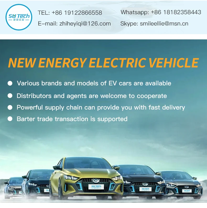 Business Electric Car Livan Maple 80v Pro Long Range Suv Fast Charging