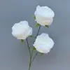 New austin white-68cm