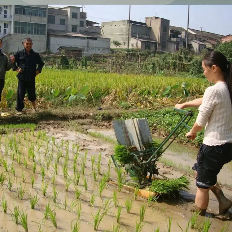 Factory Wholesalemanual 6 Rows Riding Mini Machine China Rice Transplanter