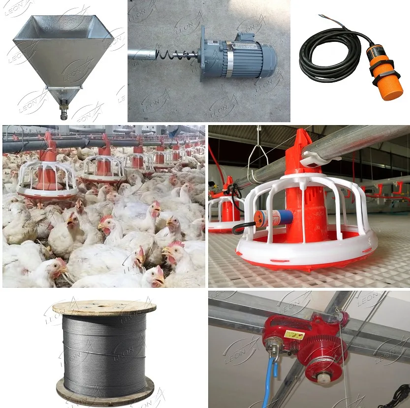 High Quality Modern Design Automatic Chicken Farming System for Broiler ...