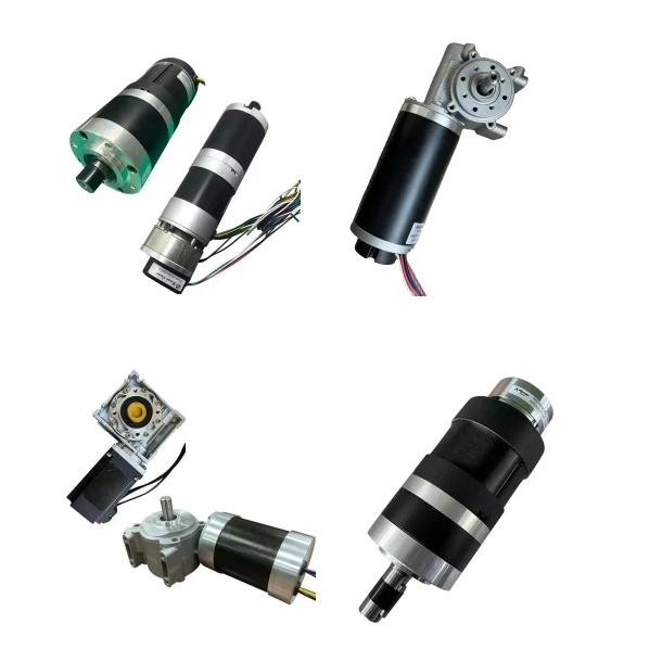 High Torque  Dc Planetary Gear Worm Gearbox Motor 24v 12v 36v 48v Brushed Brushless Gearmotor With Encoder Brake 15w -1000w