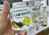 Ananas ananas