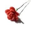 Rosa di giugno