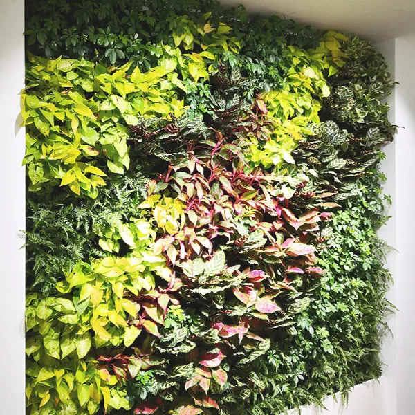 Plastic Green Wall Panels Artificial Hedge Fence Backdrop Grass Outdoor Green Wall
