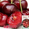 5# Cerezas 10 Granos