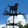 Labrador
