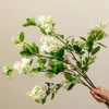 Effetto bianco dell'immagine 3